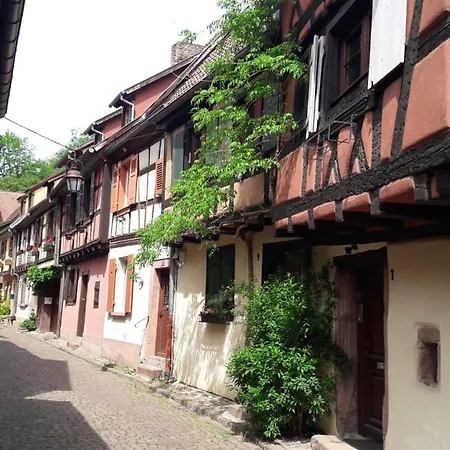 度假居 Gite Gewurz N°4 A Kaysersberg
