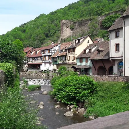 度假居 Gite Gewurz N°4 A Kaysersberg 凯泽贝尔